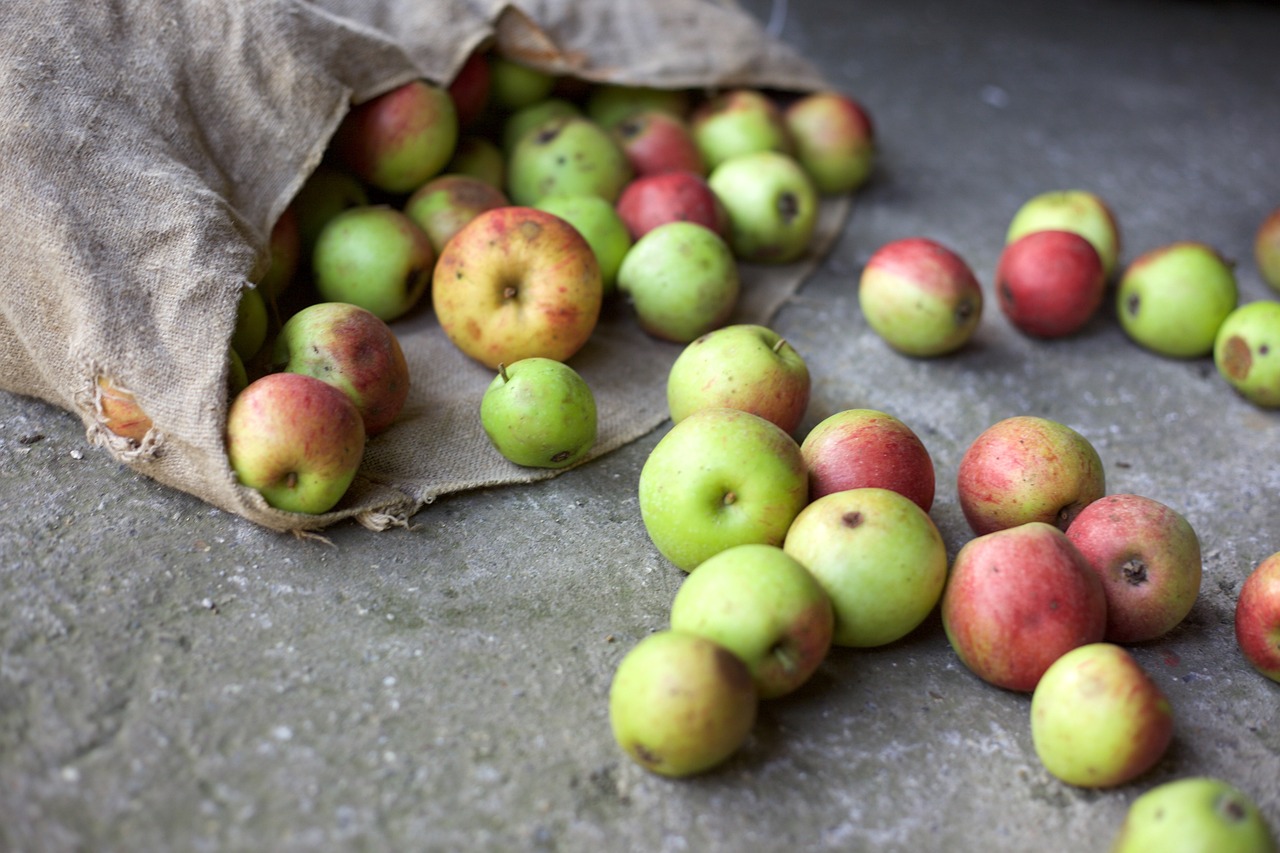 Äpfel